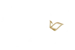 People vs. Politics chosen as an official selection for the Alexandria Film Festival in Alexandria, VA.